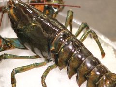-古韵轩·江浙融合菜(梁溪店)