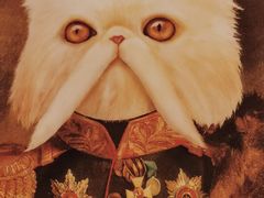 -猫小院猫主题餐厅(南锣旗舰店)