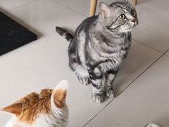 -平行世界·猫咖(首经贸店)