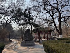 -北京大学赛克勒考古与艺术博物馆