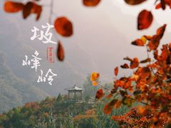 -周口店坡峰岭风景区