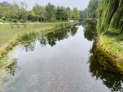 -东郊湿地公园