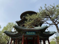 -迎泽公园