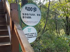 -大岭沟猕猴桃谷风景区