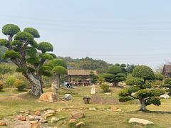-丹樱生态园