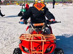 -绿野森林乐园冰雪季