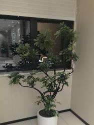 -Yestar宁波艺星整形医院