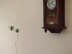 -兮食农场餐厅