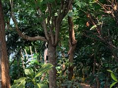 -北京植物园-展览温室