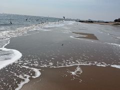 -老虎石海上公园