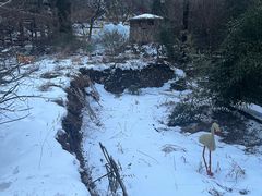 -沕沕水生态风景区