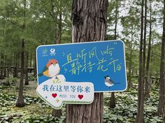 -池杉湖湿地公园