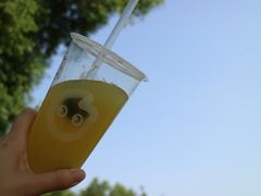 -九里河湿地公园