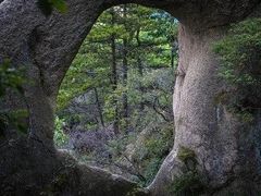-六里坪国家森林公园