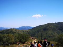 -灵山