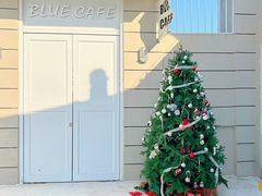 -Blue Concept Cafe&Farm·關於藍