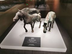 -邯郸市博物馆(新馆)