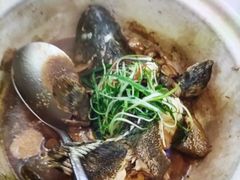 -鑫鸿达·海鲜闽菜热炒小馆(中山路店)