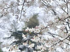 -星湖街(地铁站)