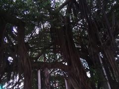 -北部湾广场