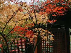 -重庆园博园