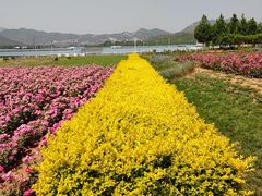 -君乐宝优致牧场