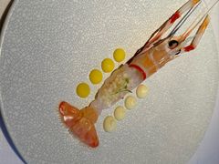 -橘洲1910花园江景西餐厅