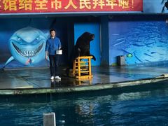 -苏州海洋馆