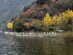-秦岭终南山世界地质公园翠华山景区