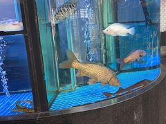 -王家渡火锅店(棕榈泉店)
