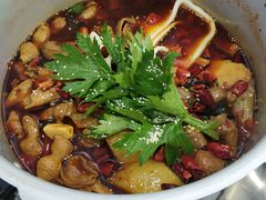 -晓彭肥肠鸡·泡椒鸡火锅(水木天地店)