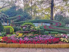 -杭州植物园