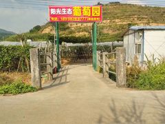 -南门山森林公园阳光生态葡萄园