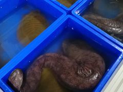 -潮信鱼头王(西环店)