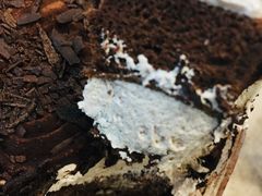 -全家便利店(孩儿巷店)