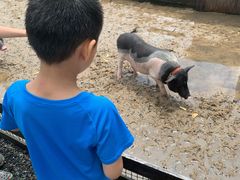 -前小桔亲子创意农场·草莓采摘·露营烧烤