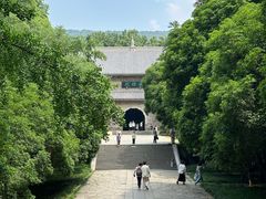 -灵谷景区