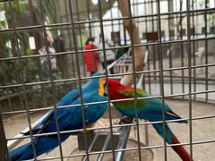 -南宫五洲植物乐园