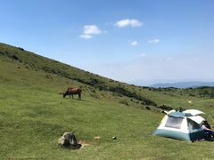 -大姆山草场