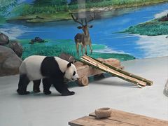 -柳州市动物园