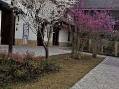 -江苏三台山国家森林公园