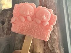 -鄂尔多斯野生动物园