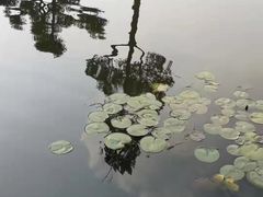 -杭州西湖柳莺里酒店