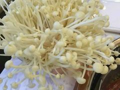 -一天好养生火锅·衢州人自己的火锅(阳光水岸店)