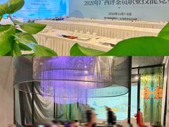 -南宁国际会展中心(会展东博文化旅游区)