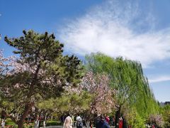 -元大都城垣遗址公园