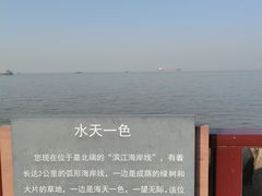 -上海滨江森林公园