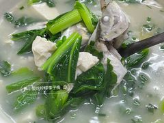 -蛇口康乐快餐鱼仔档(翠苑小区店)