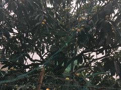 -亮河湾山庄