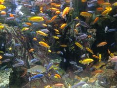 -太平洋海底世界